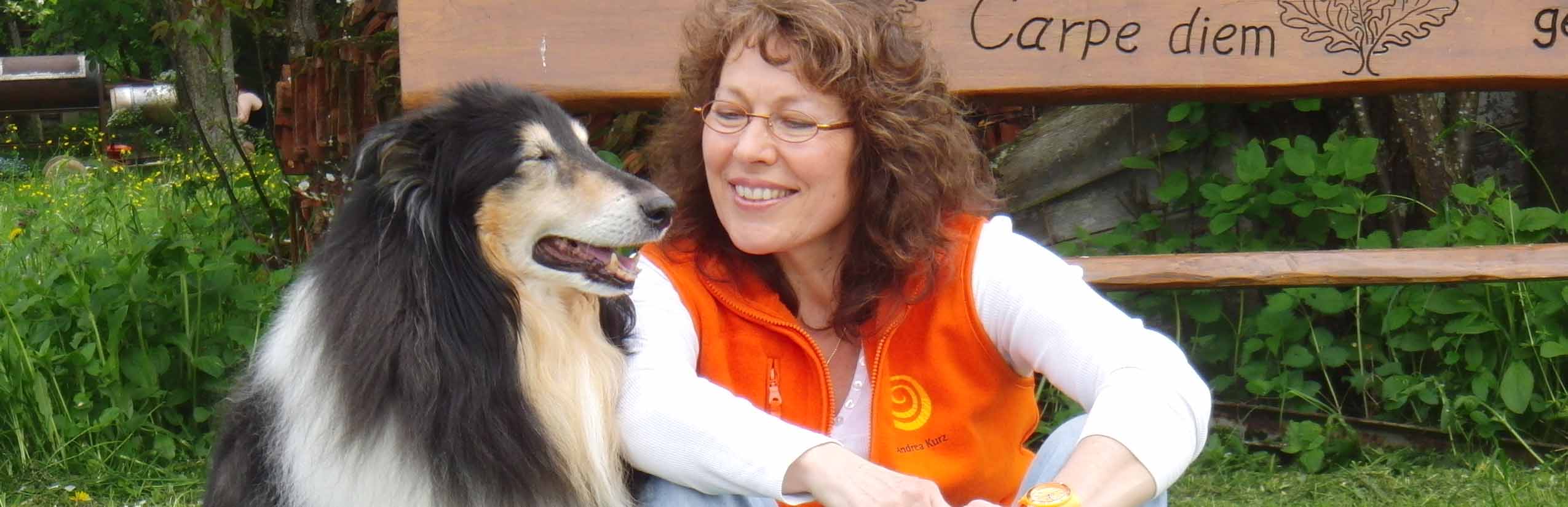 Den richtigen Umgang mit hochsensiblen Hunden lernen